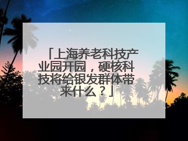 上海养老科技产业园开园，硬核科技将给银发群体带来什么？