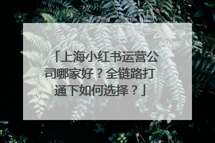 上海小红书运营公司哪家好？全链路打通下如何选择？