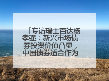 专访瑞士百达杨孝强：新兴市场债券投资价值凸显，中国债券适合作为“稳定器”