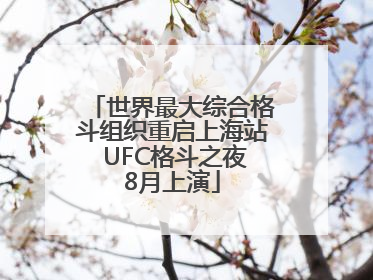 世界最大综合格斗组织重启上海站 UFC格斗之夜8月上演