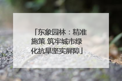 东象园林：精准施策 筑牢城市绿化抗旱坚实屏障