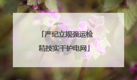 严纪立规强运检 精技实干护电网