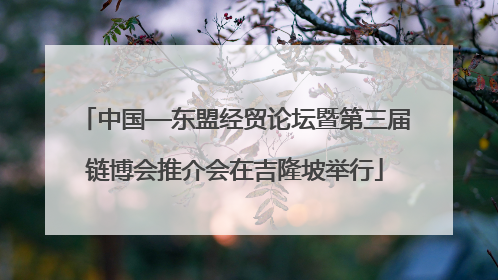 中国—东盟经贸论坛暨第三届链博会推介会在吉隆坡举行