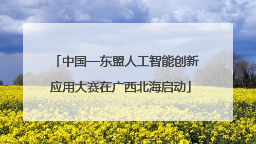 中国—东盟人工智能创新应用大赛在广西北海启动