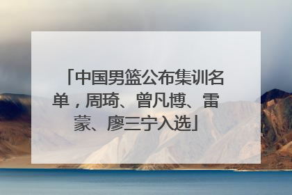 中国男篮公布集训名单，周琦、曾凡博、雷蒙、廖三宁入选