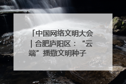 中国网络文明大会｜合肥庐阳区：“云端”播撒文明种子 共建清朗网络空间