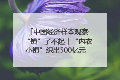 中国经济样本观察·“镇”了不起｜“内衣小镇”织出500亿元“里子产业”