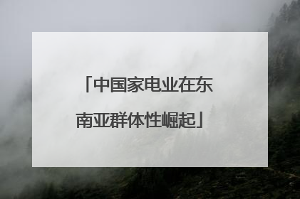 中国家电业在东南亚群体性崛起