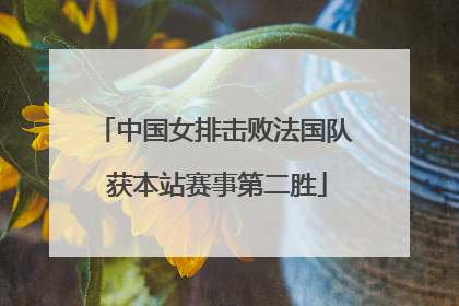 中国女排击败法国队 获本站赛事第二胜