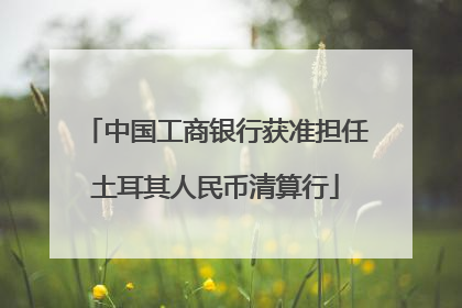 中国工商银行获准担任土耳其人民币清算行