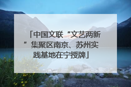 中国文联“文艺两新”集聚区南京、苏州实践基地在宁授牌