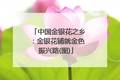 中国金银花之乡：金银花铺就金色振兴路(图)