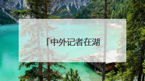 中外记者在湖北感受科技创新澎湃动力