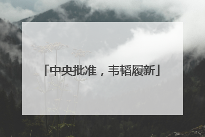 中央批准，韦韬履新