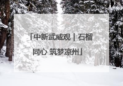 中新武威观｜石榴同心 筑梦凉州