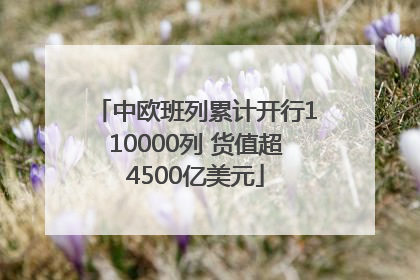 中欧班列累计开行110000列 货值超4500亿美元