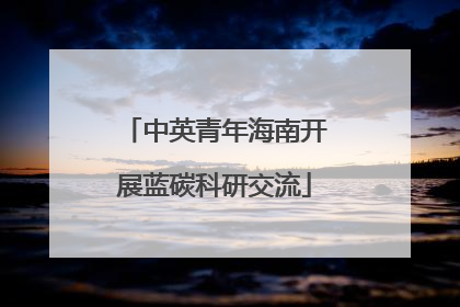 中英青年海南开展蓝碳科研交流