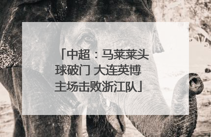 中超：马莱莱头球破门 大连英博主场击败浙江队