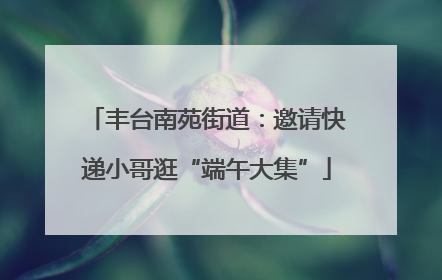 丰台南苑街道：邀请快递小哥逛“端午大集”