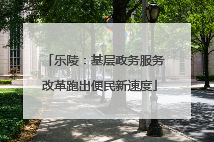 乐陵：基层政务服务改革跑出便民新速度