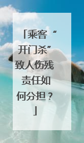 乘客“开门杀”致人伤残 责任如何分担？