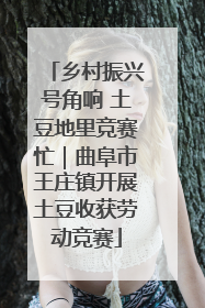 乡村振兴号角响 土豆地里竞赛忙｜曲阜市王庄镇开展土豆收获劳动竞赛