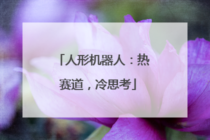 人形机器人：热赛道，冷思考