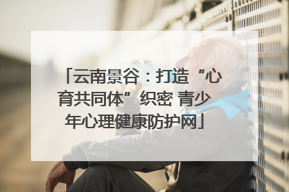 云南景谷：打造“心育共同体”织密 青少年心理健康防护网
