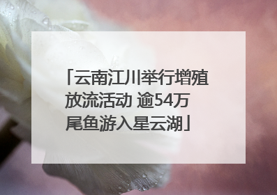 云南江川举行增殖放流活动 逾54万尾鱼游入星云湖