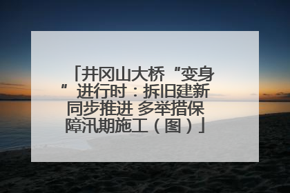 井冈山大桥“变身”进行时：拆旧建新同步推进 多举措保障汛期施工（图）