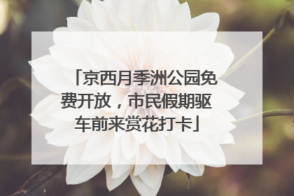 京西月季洲公园免费开放，市民假期驱车前来赏花打卡