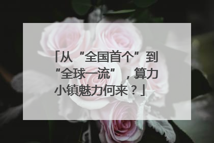 从“全国首个”到“全球一流”，算力小镇魅力何来？