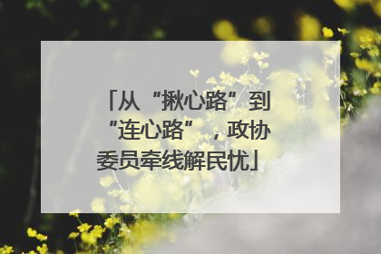 从“揪心路”到“连心路”，政协委员牵线解民忧