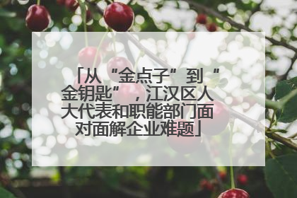 从“金点子”到“金钥匙”，江汉区人大代表和职能部门面对面解企业难题
