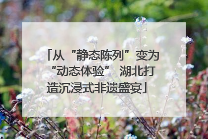 从“静态陈列”变为“动态体验” 湖北打造沉浸式非遗盛宴