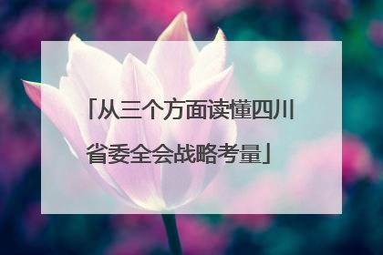 从三个方面读懂四川省委全会战略考量