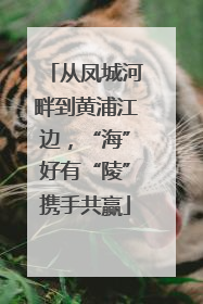 从凤城河畔到黄浦江边，“海”好有“陵”携手共赢