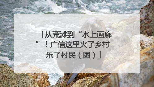 从荒滩到“水上画廊”！广信这里火了乡村 乐了村民（图）