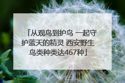 从观鸟到护鸟 一起守护蓝天的精灵 西安野生鸟类种类达467种