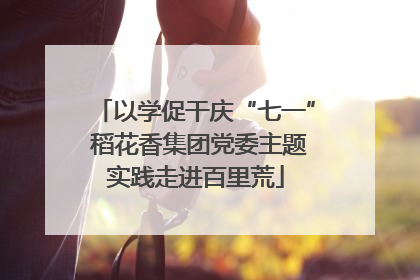 以学促干庆“七一” 稻花香集团党委主题实践走进百里荒
