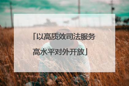 以高质效司法服务高水平对外开放