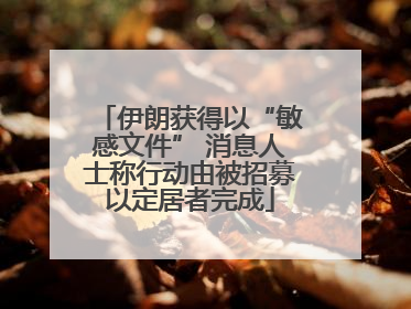 伊朗获得以“敏感文件” 消息人士称行动由被招募以定居者完成