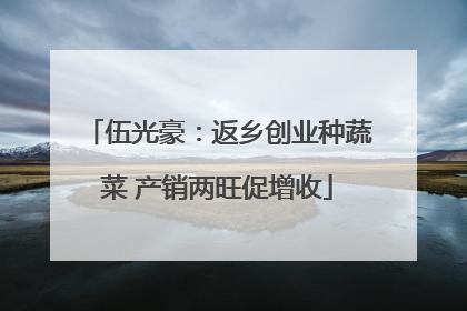 伍光豪：返乡创业种蔬菜 产销两旺促增收