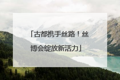 古都携手丝路！丝博会绽放新活力