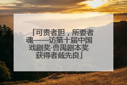 可贵者胆，所要者魂——访第十届中国戏剧奖·曹禺剧本奖获得者戴先良