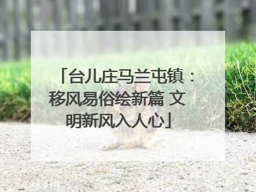 台儿庄马兰屯镇：移风易俗绘新篇 文明新风入人心