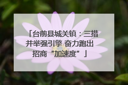 台前县城关镇：三措并举强引擎 奋力跑出招商“加速度”