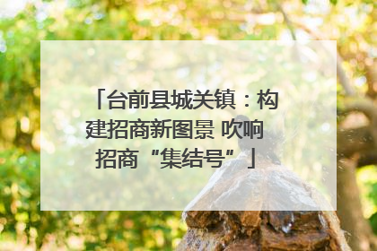 台前县城关镇：构建招商新图景 吹响招商“集结号”