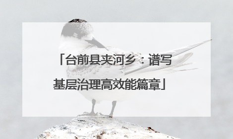 台前县夹河乡：谱写基层治理高效能篇章