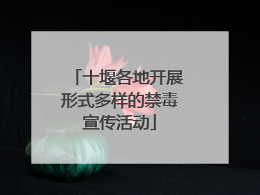 十堰各地开展形式多样的禁毒宣传活动